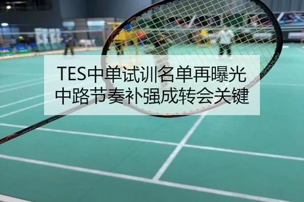 TES中单试训名单再曝光 中路节奏补强成转会关键